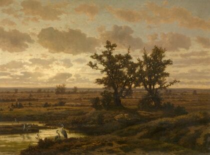 Fen in the Kempen