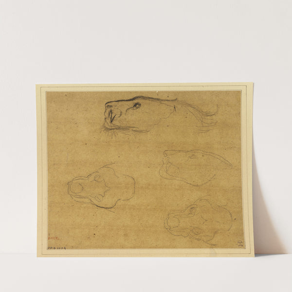 Feuille d’études de têtes de tigres (19th century) by Antoine-Louis Barye