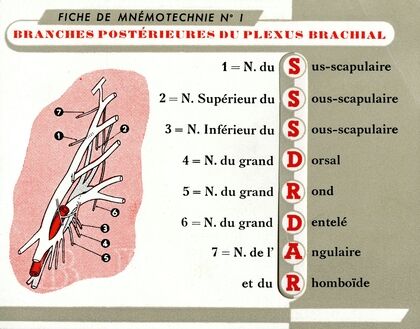 Fiche de mnémotechnie No.1 (1910-1950)