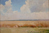 Field at Białocerkiew (Bila Tserkva)