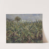 Field of Banana Trees by Pierre-Auguste Renoir