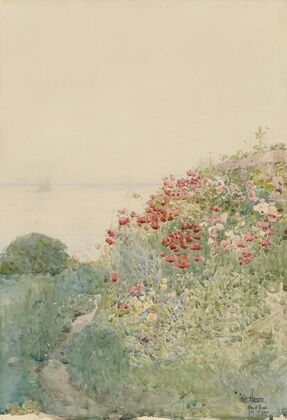 Field of Poppies, Isles of Shoals