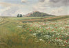 Fields with Wild Poppies