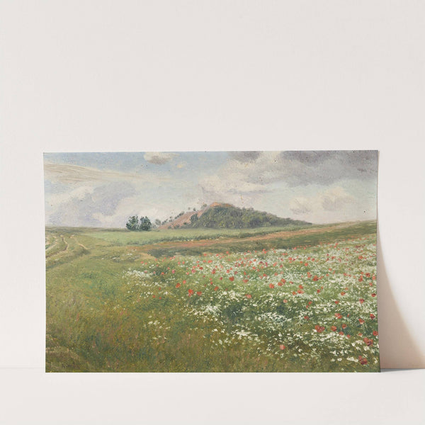 Fields with Wild Poppies by František Kaván
