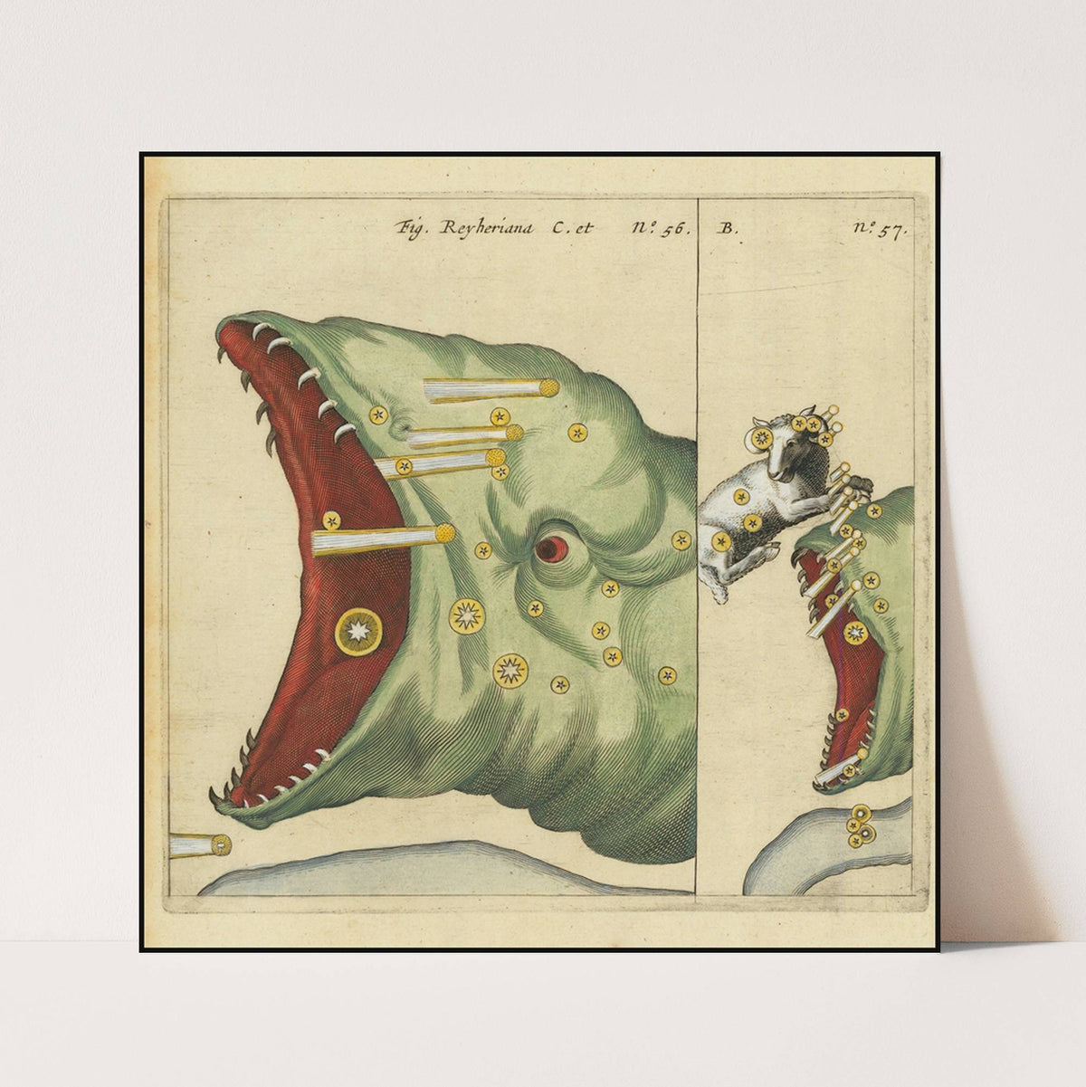 Acht studies van paardenbenen en -hoeven (1835) by Pieter Frederik van Os