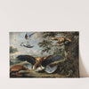 Fight between Eagles by Pieter Boel