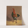 Fighting Cocks,a Dark-Breasted Fighting Cock, Facing Left by John Frederick Herring Snr.