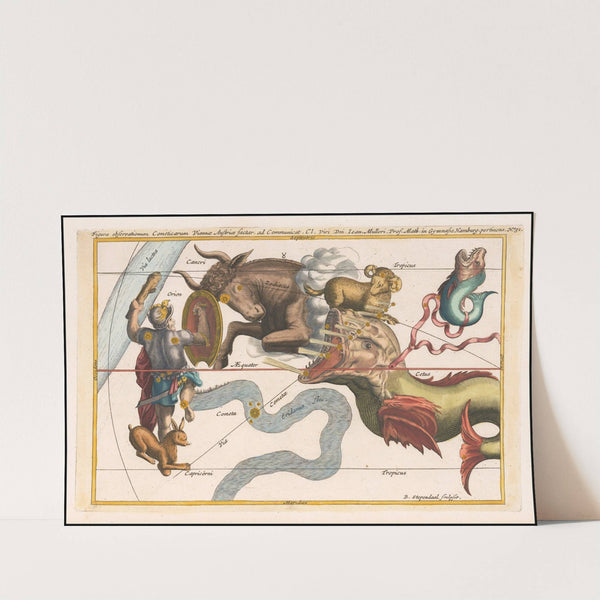 Figura observationum Cometicarum (1668) by Stanisław Lubieniecki