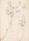 Figure Studies