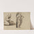 Figure Studies by Miner Kilbourne Kellogg