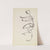 Figure Study by Henri Gaudier-Brzeska