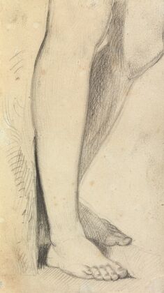 Figure Study of Legs