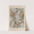 Figured silk by Mathevon &amp; Bouvard of Lyons. by Matthew Digby Wyatt