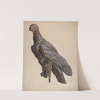 Finial Eagle by James McLellan