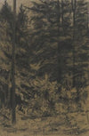 Fir trees
