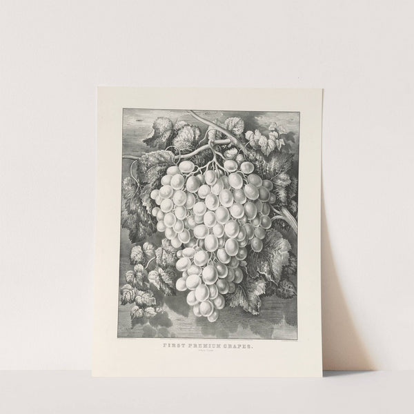 First premium grapes; A royal cluster (1865) by Currier & Ives.