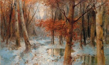First snow