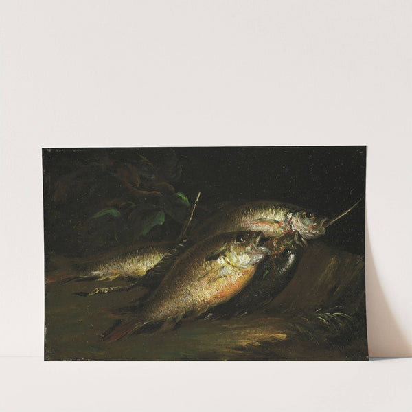Fish (1842) by Shepard Alonzo Mount