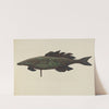Fish Weather Vane by Elizabeth Fairchild