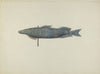 Fish Weather Vane