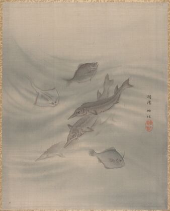Fishes (ca. 1890–92)
