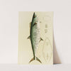 Fishes I by Frederick McCoy