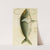 Fishes V by Frederick McCoy