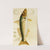 Fishes VII by Frederick McCoy