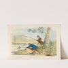 Fishing (1817-1818) by Henry Thomas Alken