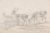 Five Deer