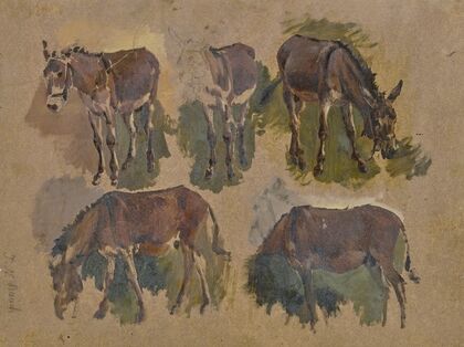 Five mules