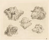 Five sheep heads (1793)