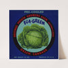 Fla-Green Brand Green Cabbage Label (1930-1950)