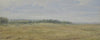 Flat landscape with meadows