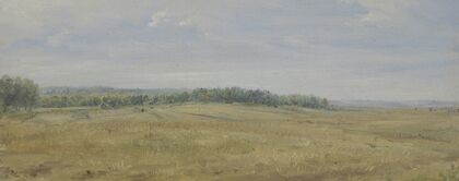 Flat landscape with meadows