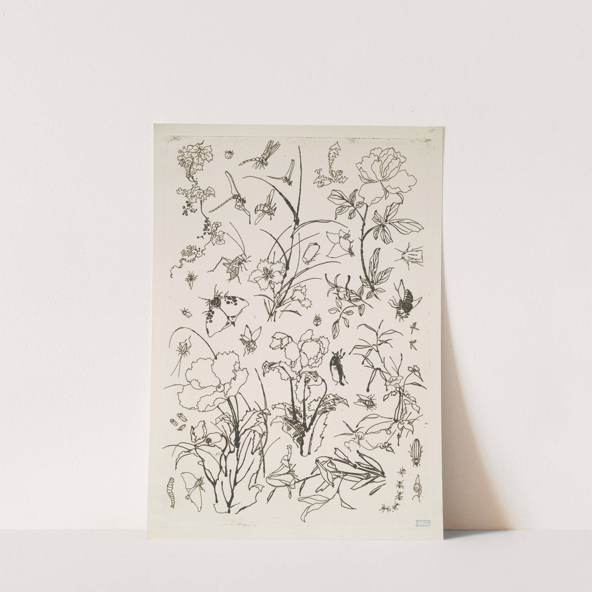 Fleurs et insectes (1866) by Félix Bracquemond