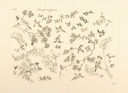 Fleurs et oiseaux japonais. (1866 - 1878)