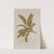 Fleurs, fruits et feuillages choisis de l&#039;ille de Java Pl.01 by Berthe Hoola van Nooten