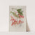 Fleurs, fruits et feuillages choisis de l&#039;ille de Java Pl.02 by Berthe Hoola van Nooten