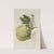 Fleurs, fruits et feuillages choisis de l&#039;ille de Java Pl.03 by Berthe Hoola van Nooten