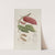 Fleurs, fruits et feuillages choisis de l&#039;ille de Java Pl.04 by Berthe Hoola van Nooten