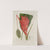 Fleurs, fruits et feuillages choisis de l&#039;ille de Java Pl.33 by Berthe Hoola van Nooten