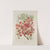 Fleurs, fruits et feuillages choisis de l&#039;ille de Java Pl.37 by Berthe Hoola van Nooten