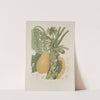 Fleurs, fruits et feuillages choisis de l&#039;ille de Java Pl.40 by Berthe Hoola van Nooten