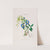 Flore d&#039;Amérique, dessinée d&#039;après nature sur les lieux Pl.022 by Etienne Denisse
