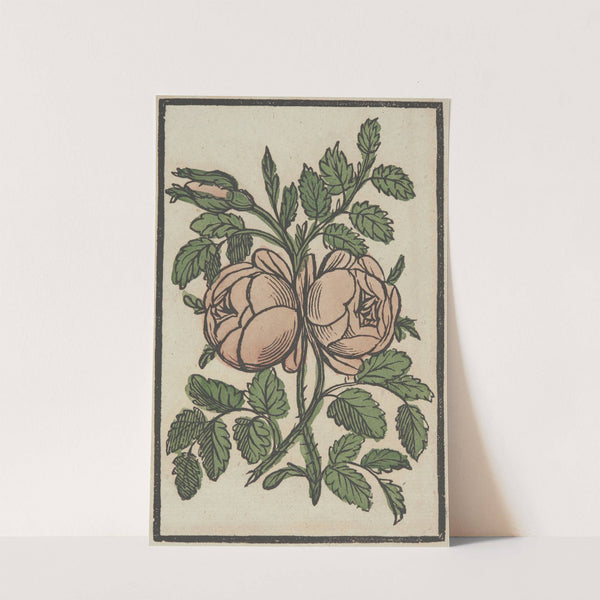 Flower by Anonymous