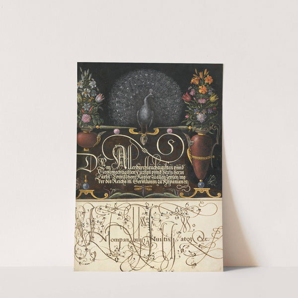 Flower Arrangements, Peacock, Butterflies, and Insect (1561–1596) by Joris Hoefnagel