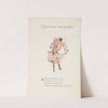 Flower Children pl19 (1910) by Marion T. Ross
