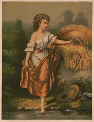Flower of the field (1873)