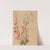 Flower Study (ca. 1883-1900) by Mary Vaux Walcott